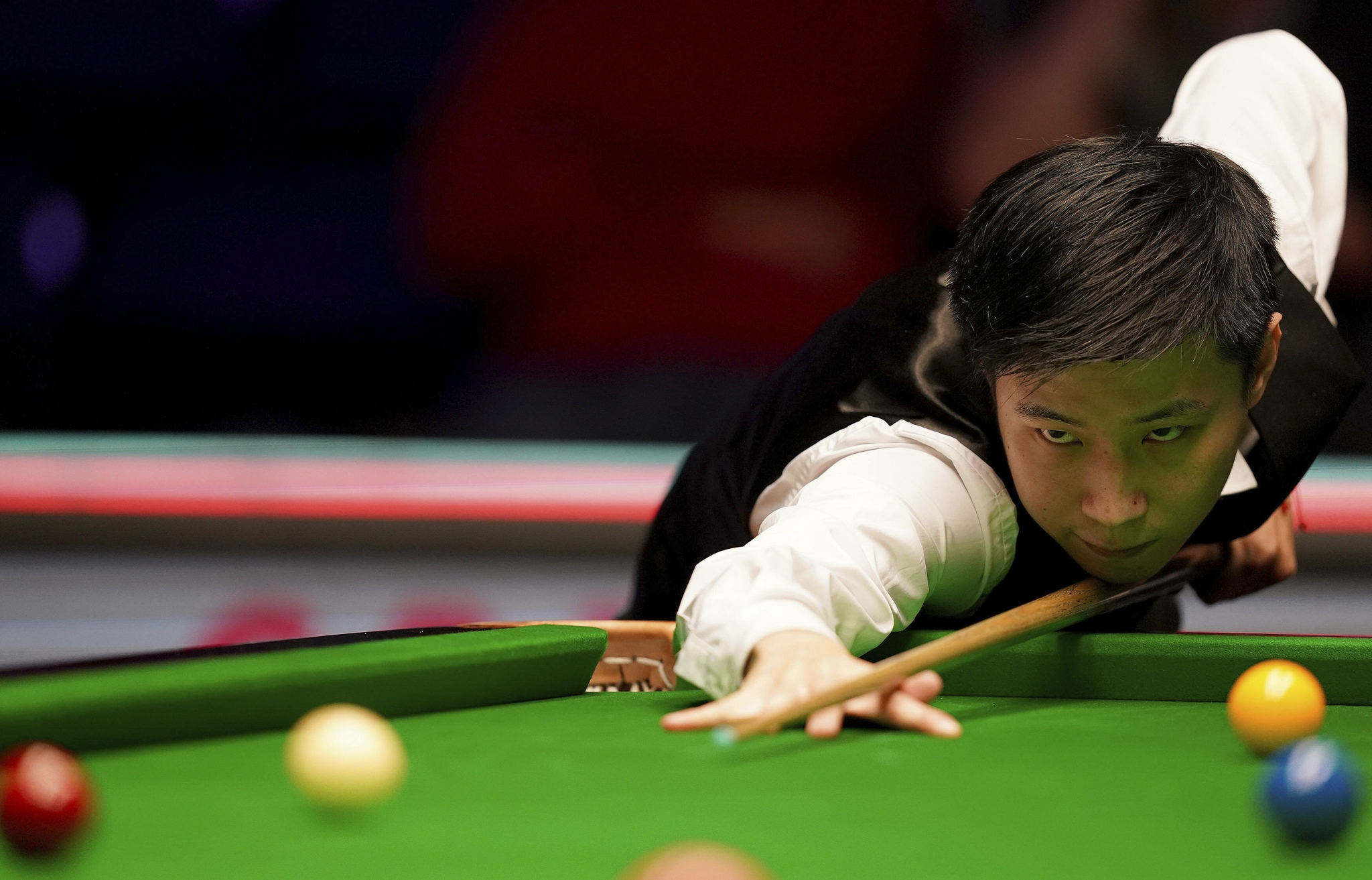 也不甘示弱 也不甘示弱